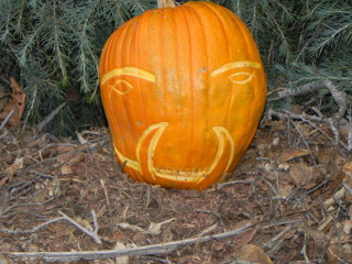 Boar Teeth, Nipomo Pumpkin Patch best carving idea